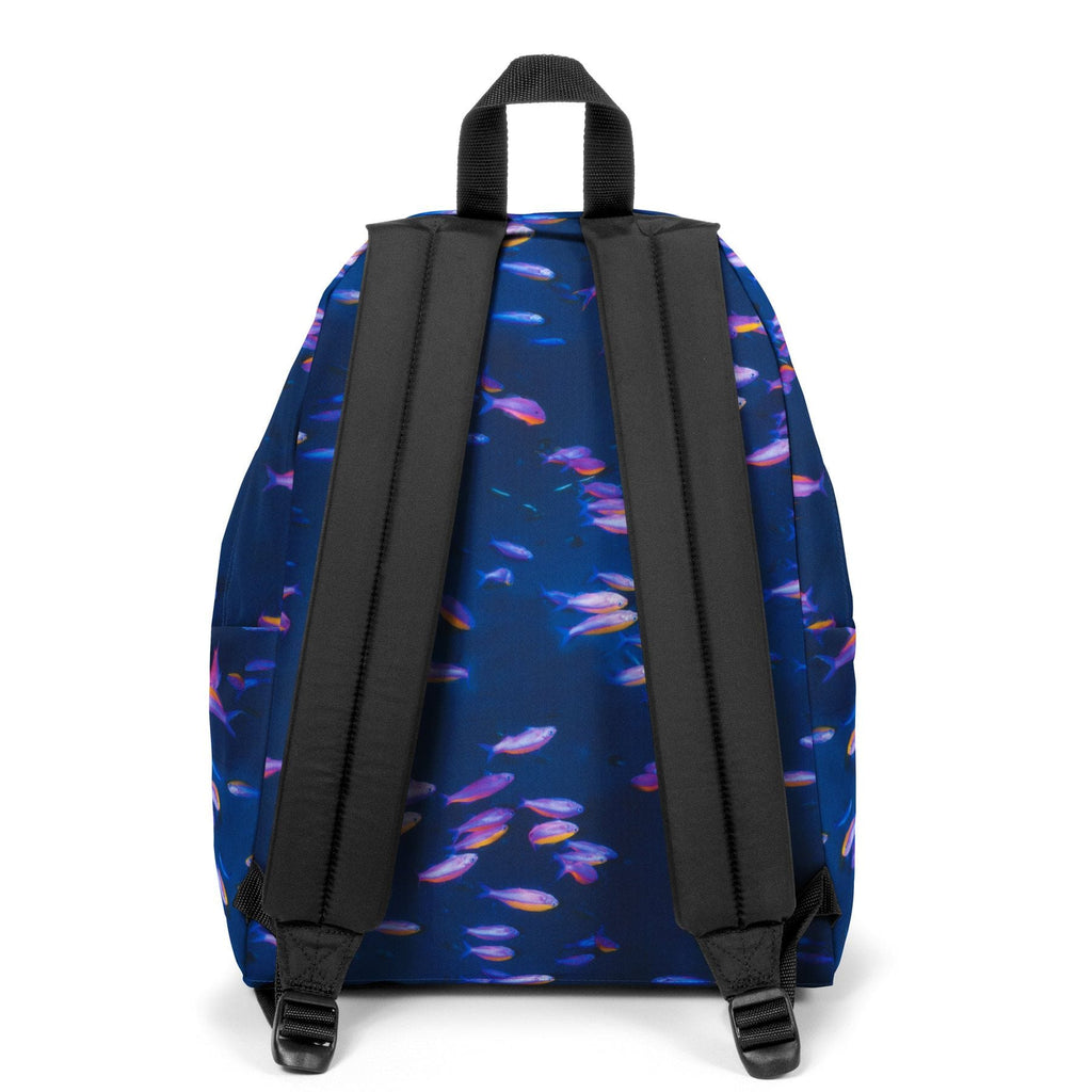 Sac a dos shop eastpak glow blue