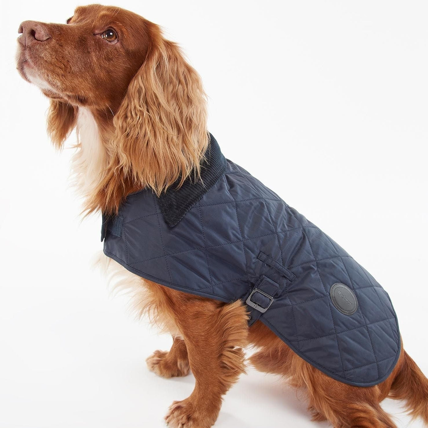 Barbour dog coat deals