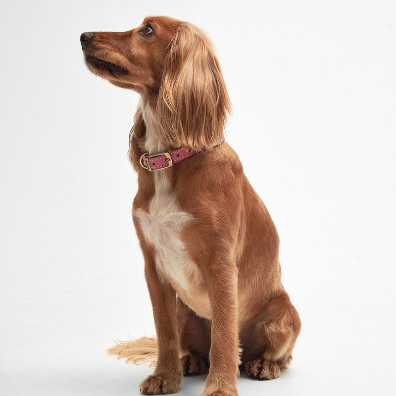 Barbour deals pink collar