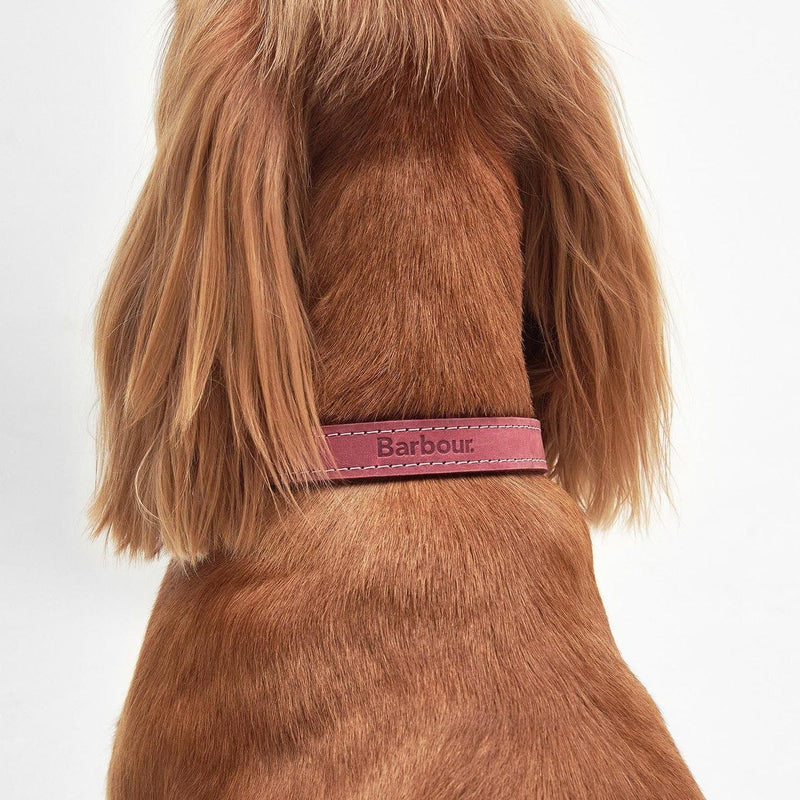 Barbour hot sale pink collar