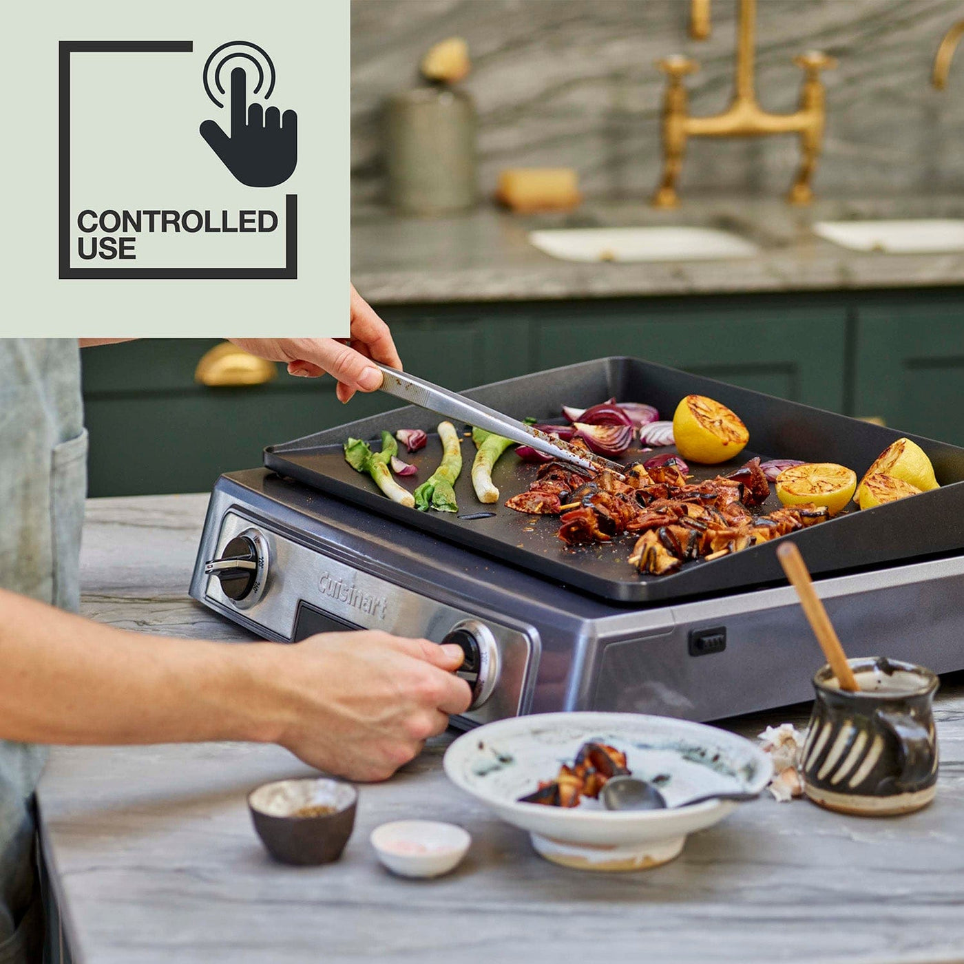 Cuisinart barbecue best sale