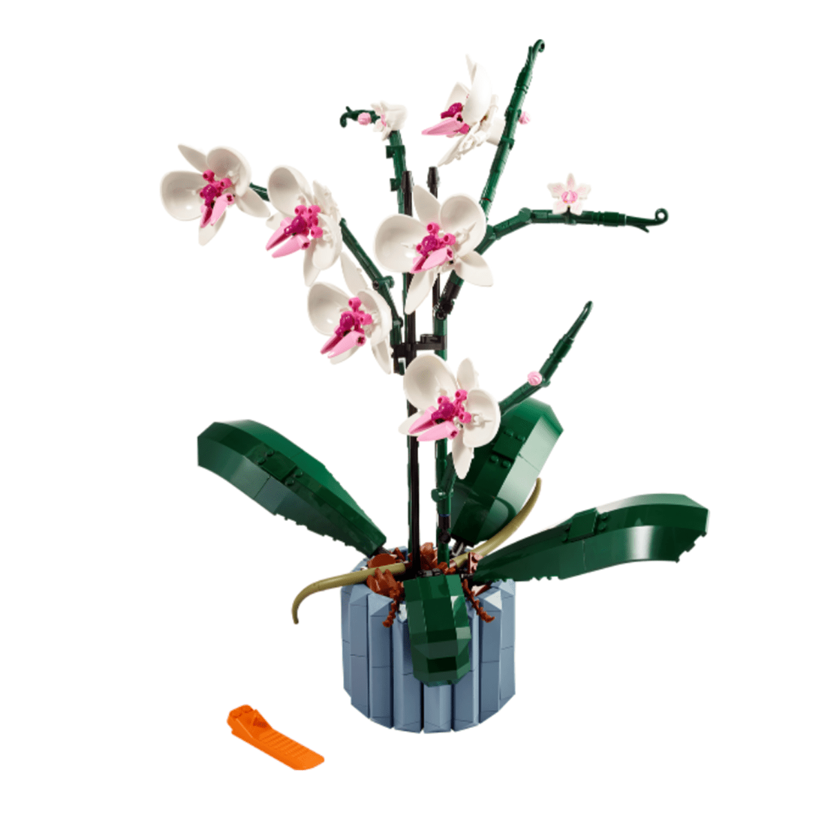 10311 good Orchid Botanical Collection