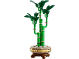 LEGO Botanicals Lucky Bamboo