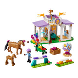 LEGO® Friends Horse Training