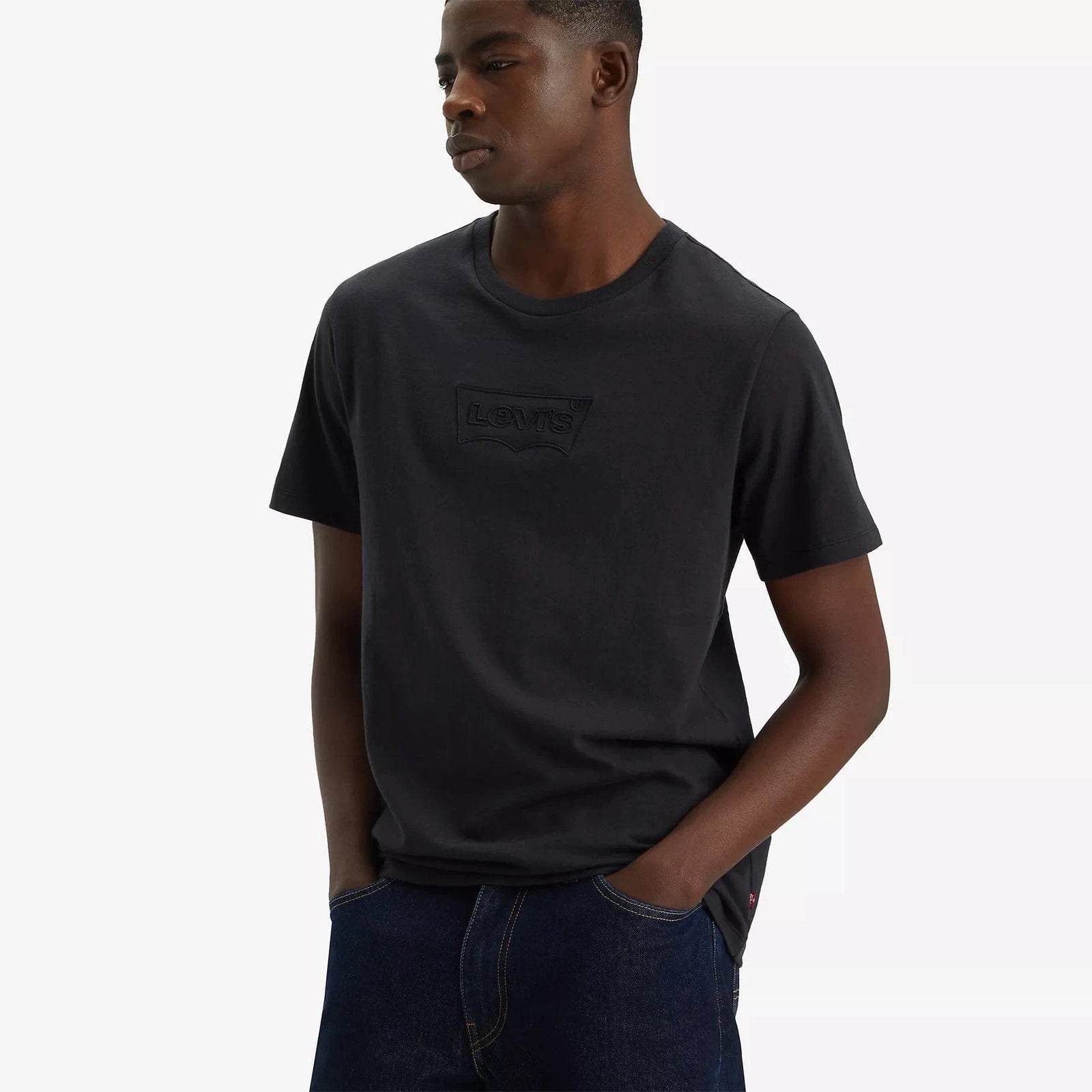 Perfect graphic tee levis online