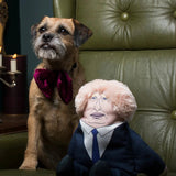 Pet Hates Toys Boris Dog Toy in Small