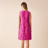 Ro&Zo Pink Lace Mini Shift Dress