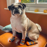 Talking Tables Halloween Costume Dog Socks