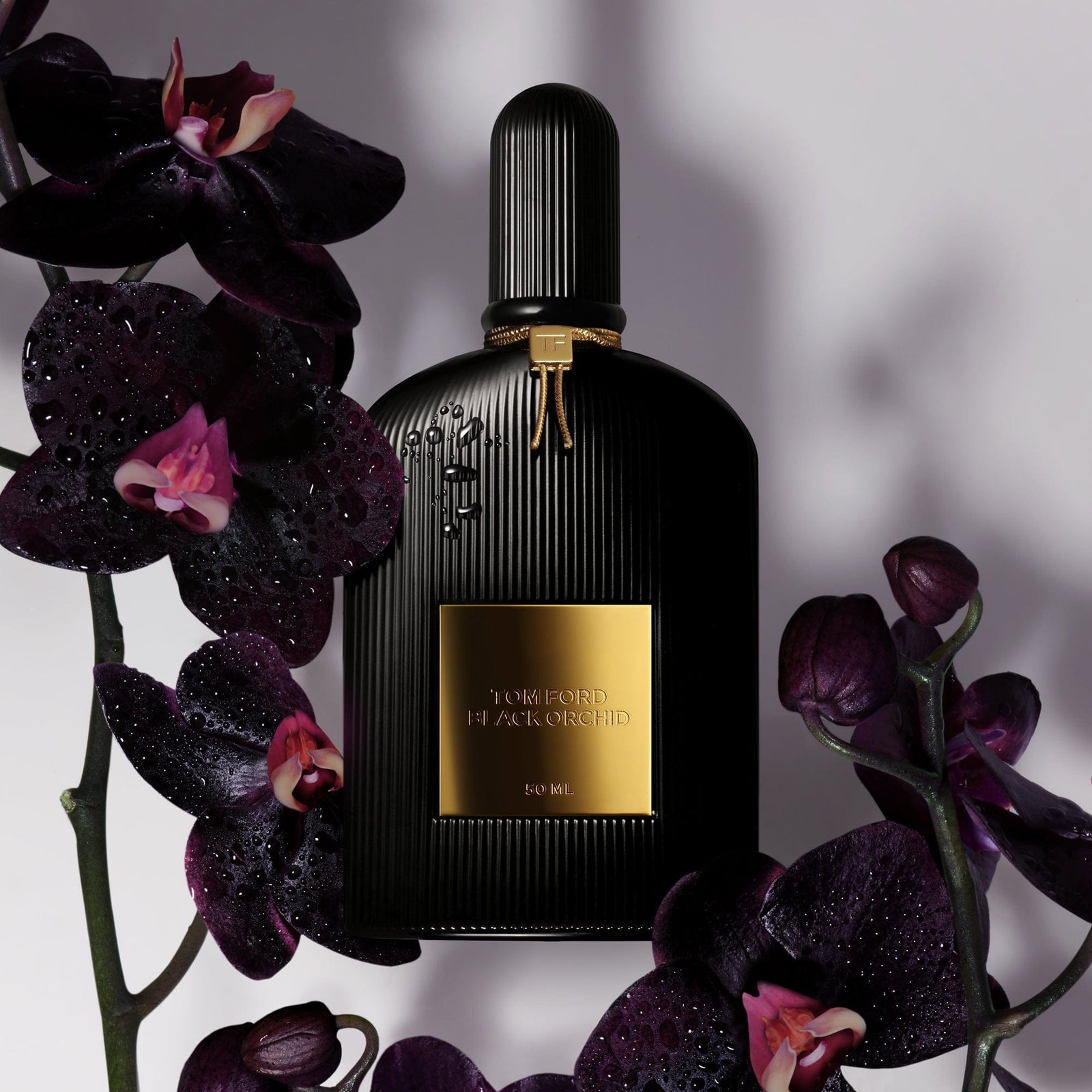 Tom Ford Black buy Orchid